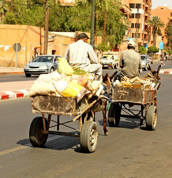 Un árabe conduciendo un burro — Foto de Stock