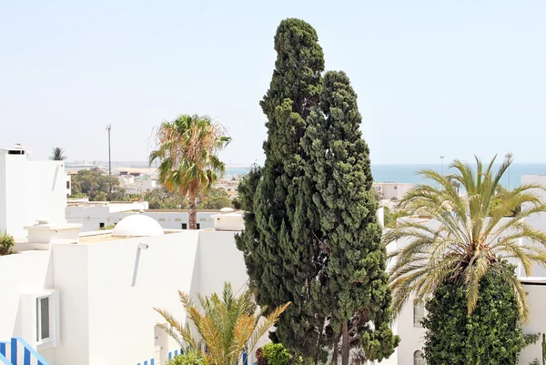 stock image Beautiful view of sea, horizon, palms and white buildings