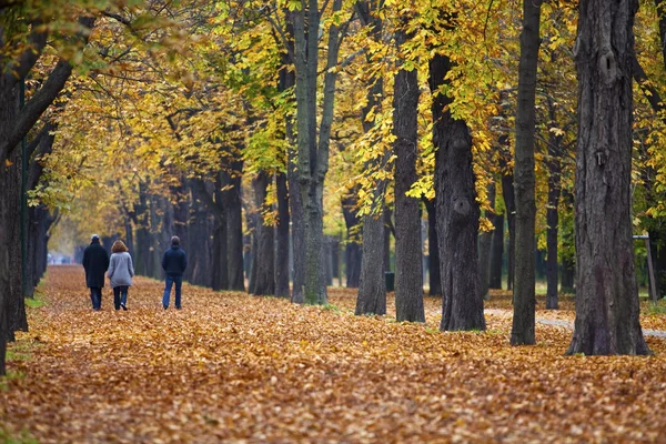 Famille traversant une ruelle à l'automne — Photo