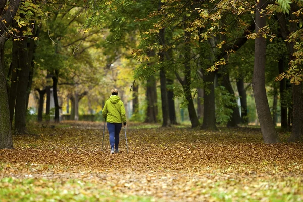 Mulher caminhando nórdica na vibrante floresta de outono — Fotografia de Stock