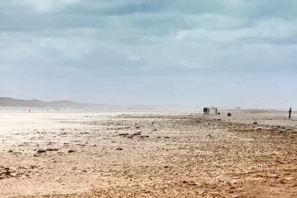 Ethereal landscape of a beach during sand storm — Stock Photo, Image