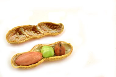 Ground nut pod with three types of seeds clipart