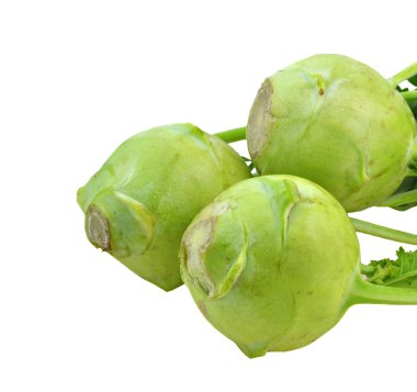 taze sarımsak