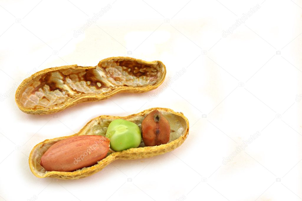 Ground nut pod with three types of seeds