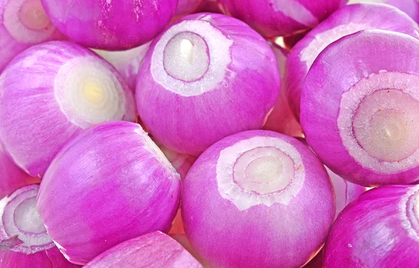 Montaje de cebolla rosa — Foto de Stock