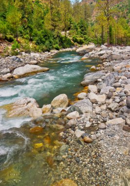 Mountain river bed with scattered boulders and clean water clipart