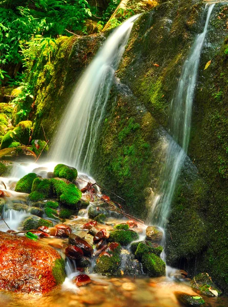 stock image Narrow streams of fresh water