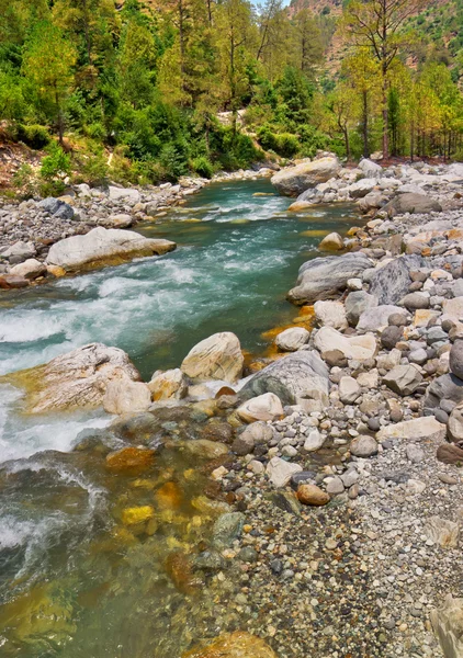 stock image Mountain river bed with scattered boulders and clean water