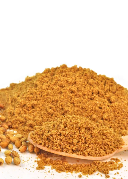 Powdered coriander — Stock Photo, Image