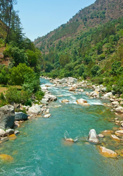 stock image Mountain river bed with scattered boulders