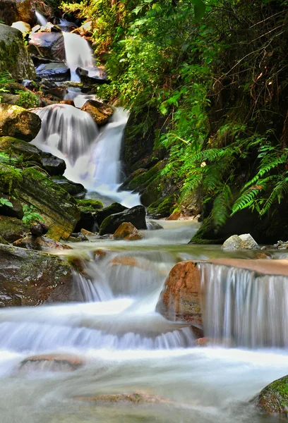 stock image Small spring in mountains