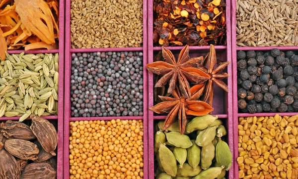 stock image Panel of spices