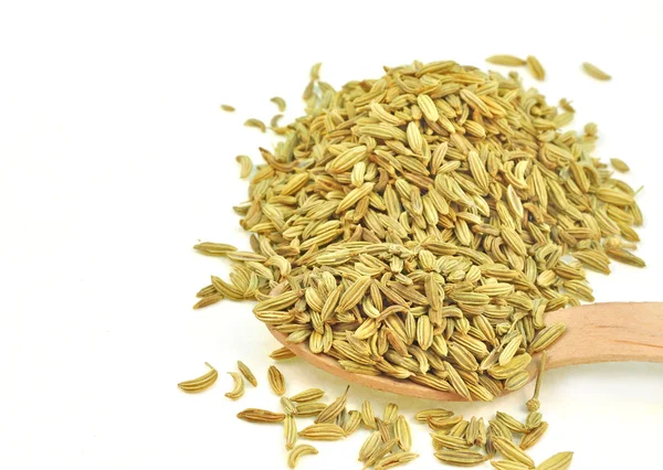 Dried seeds of fennel — Stock Photo, Image