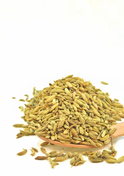 Сушеные семена фенхеля — стоковое фото