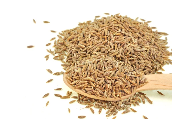 Getrocknete Samen von Kreuzkümmel-Gewürz — Stockfoto