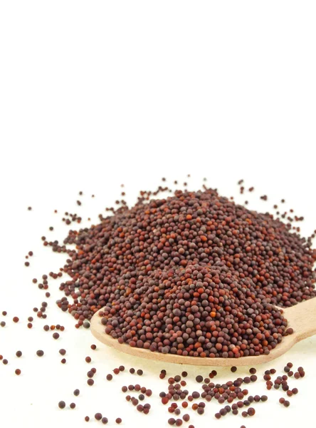 Black mustard seeds — Stock Photo, Image