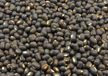 Seeds of black gram clipart