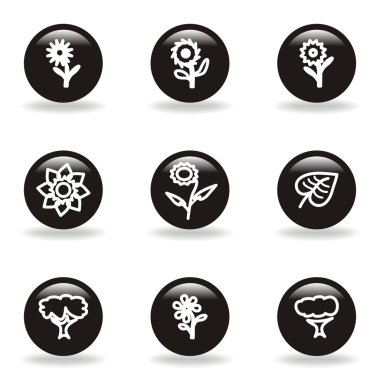 parlak Icon set