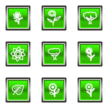 parlak Icon set