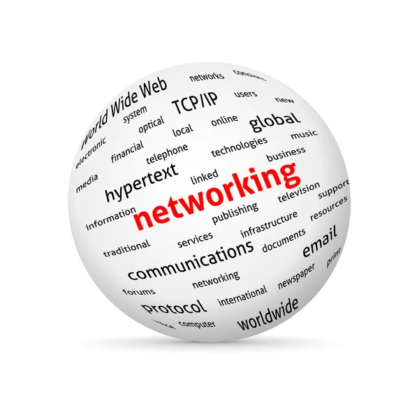 Networking globe — Stock Vector