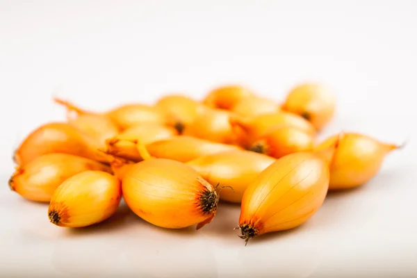 Closeup view of small onion bulbs. — Stock Photo, Image