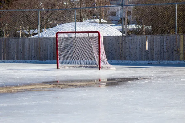 Red de hockey sobre hielo derretido — Foto de Stock