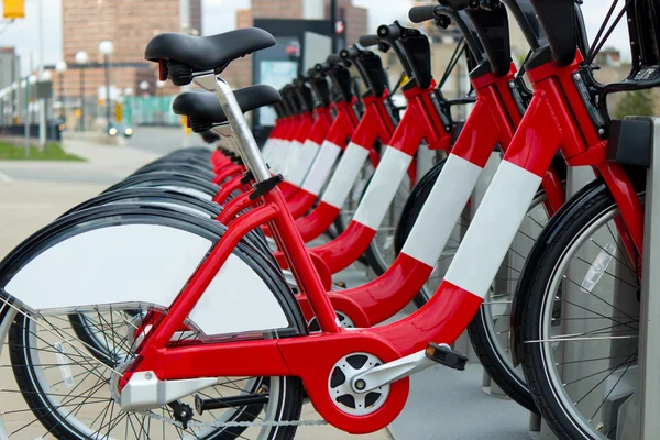 stock image Rental bicycles