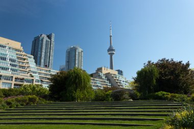 CN Tower seen from the Music Garden. clipart