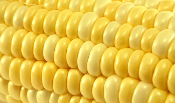 Macro de maíz amarillo — Foto de Stock