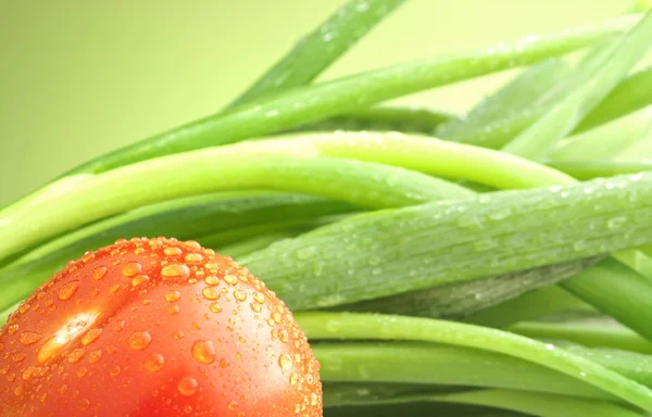 Tomate e cebola verde — Fotografia de Stock