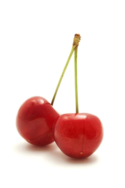 Wild cherry — Stock Photo, Image