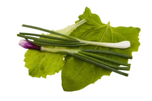 Mix lettuce, sorrel and onions — Stock Photo, Image