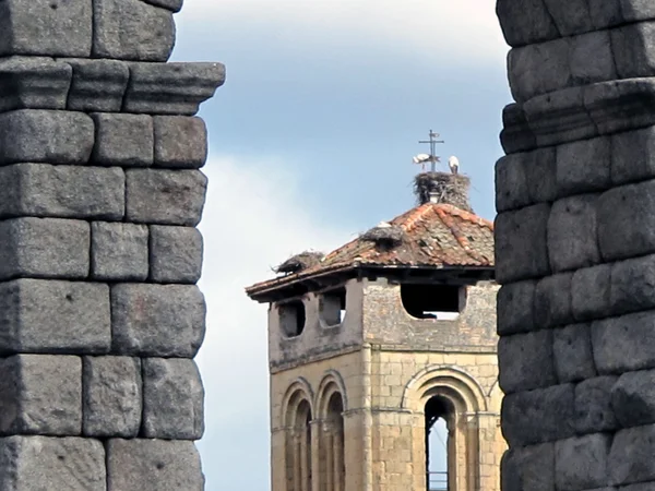 Storks stone tower — Stock Photo, Image