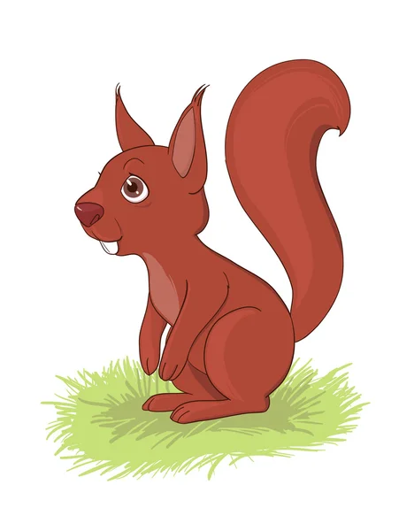 Eichhörnchen — Stockvektor