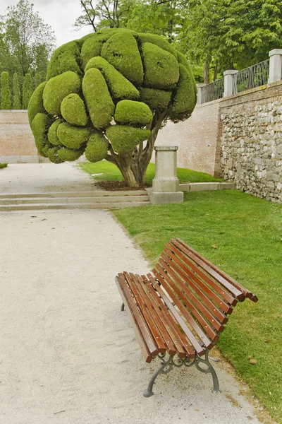 retiro Park, madrid (İspanya boş tezgah)