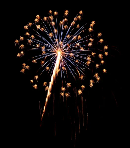 A burst of Fireworks in the night sky. — Stock Photo, Image