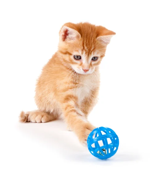 Ładny pomarańczowy kotek gra rezygnować pewien zabawka na białym tle. — Zdjęcie stockowe
