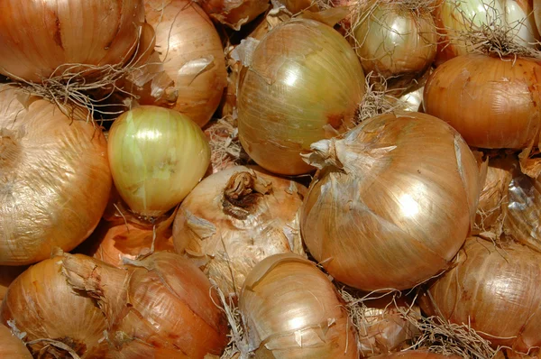 stock image A pile of onion