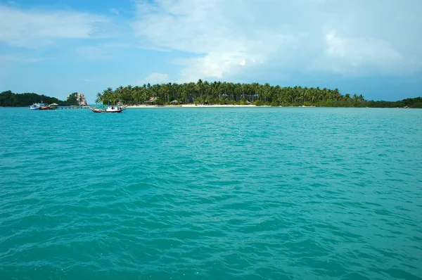 Пальмовый остров — стоковое фото