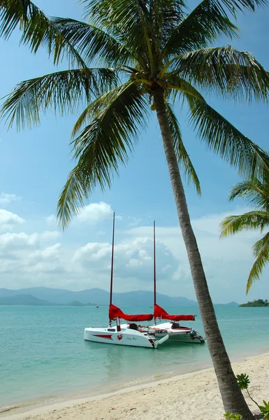 Catamaran in de buurt van het strand — Stockfoto