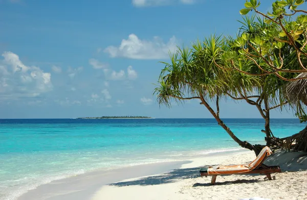 Spiaggia di sabbia bianca alle Maldive Foto Stock