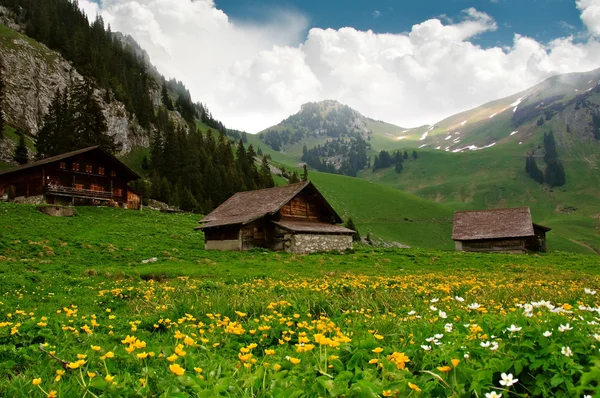 Αλπικές Καλύβες - Ελβετία — Φωτογραφία Αρχείου