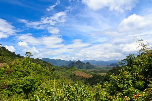 Punto de vista del Parque Nacional Khao Sok Imagen de stock