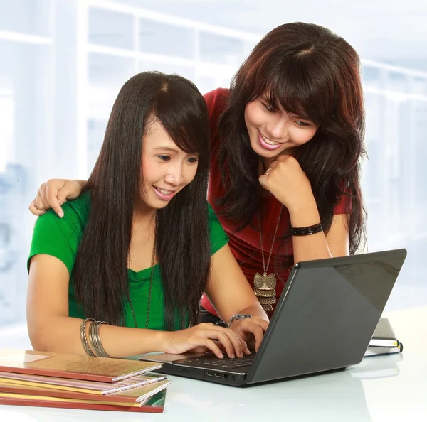 Girl browse internet Stock Image