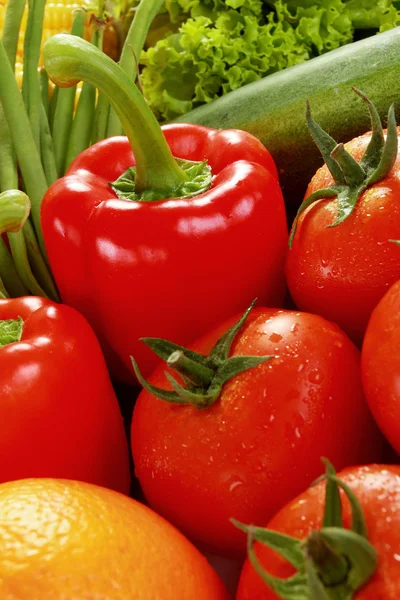 Paprika et tomates — Photo