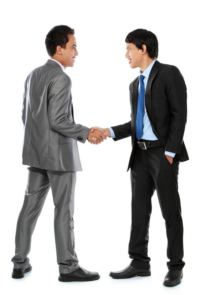 Business colleagues shaking hands