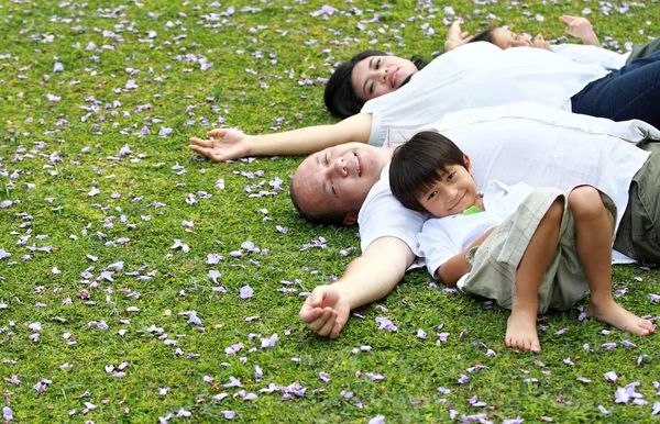 Familjen liggande i parken — Stockfoto