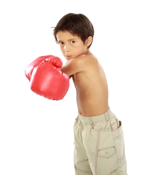 Молодой боксер — стоковое фото