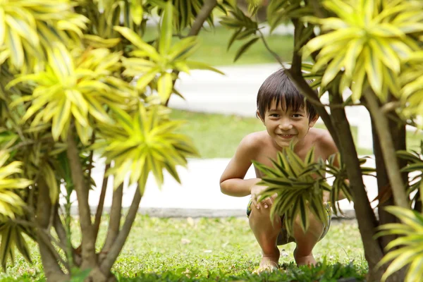 Boy playing hide and seek — Stock Photo, Image