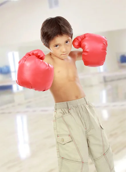 Niño boxeador — Foto de Stock